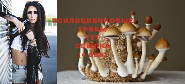 COCAINE Богородицк