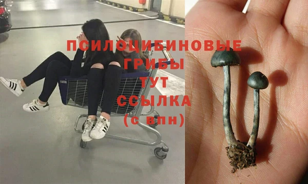 мефедрон Богданович